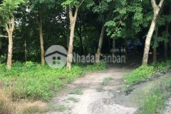 Bán 1 mẫu đất cao su, mt lộ lớn huyện củ chi, shr, 27 tỷ. lh0964603477