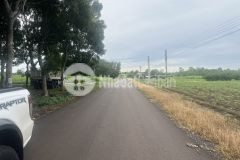 Bán lô đất đẹp, phủ hồng. giá chỉ 230tr.