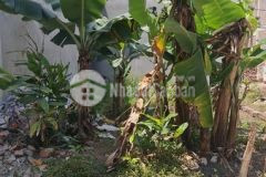 Bán mảnh đất thổ cư lô góc ở thúy lĩnh, sđcc riêng, 35m2 x 4.2m mt, chỉ 2.2 tỷ