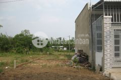 Đất thổ cư cẩm giang 5m x30m gò dầu giá chỉ 754 shr, sang tên trong ngày