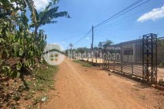 D625 bán đất eakmat hoà đông krong pak cách ql 26 2km dăklak