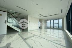 Gia đình sum vầy với căn douplex sunshine city ciputra tây hồ mở bán đợt cuối