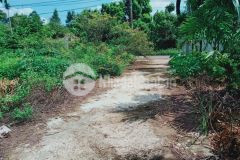 Bán đất buôn triết xã ea tiêu huyện cukuin giá đầu tư chỉ 460 triệu