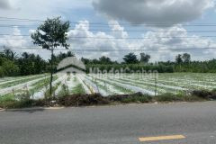 Bán 4.550m2, mặt tiền 64m đường nguyễn văn qui có 680m2 odt cái răng tp cần thơ. lh 0837777411