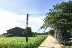 Bán 258m2 đất tại thuận hòa long thuận tx gò công