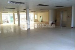 Cho thuê mặt bằng 1.600m2 phan chu trinh. p.2