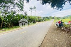 Bán gấp lô đất mặt đường 12b với dt 300m2 full thổ cư