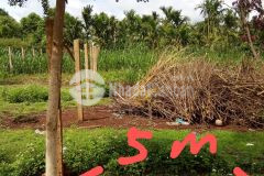 Bán đất đường 3kc thôn 1 xã hòa thuận buôn ma thuột