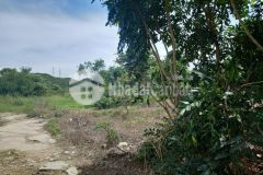 Đất bds tân đức kcn sonadezi hàm tân 6,3 mẫu 1,7 tỷm bình thuận giá tiềm năng rẻ nhất