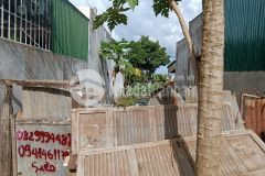 Bán đất mặt tiền đường dã tượng phường tân an