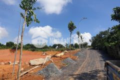 Cần bán gấp lô đất đường nhựa lâm đồng 175m2