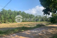 Chỉ 499 triệu100m2 đất cách chợ truồi xã lộc an 1 km