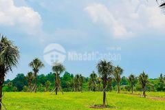 Bán mảnh vườn view đồi và ao gần tt. định quán