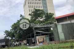 Cần bán đất mặt tiền đối diện nh vietcombank bến lức giá chỉ từ 6 tỷ