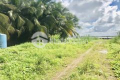 Bán 1350m2 đất view sông và cầu cần thơ. gía 9 tỷ. liên hệ 0837777411 gặp mr tín