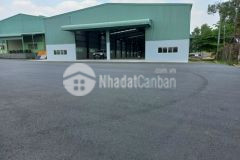 Cho thuê kho xưởng mt ng văn tạo, long thới, nhà bè. dt 2900m2, giá 80km2