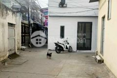 Bán nhà lầu hẻm 49 quang trung xuân khánh ninh kiều thổ cư 19m2 giá 1.7 tỷ