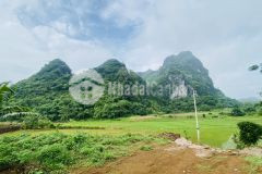 Bán gấp lô đất có dt 2300m2 có 1000m2 thổ cư với view núi siêu đỉnh