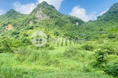 Bán gấp lô đất có dt 2123m2 có 100m2 thổ cư giá chỉ hơn 1,x tỷ