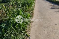 Bán 1750m2. có 100m thổ cư. đất tại quảng lập. đơn dương. giá 145 triệu m ngang. liên hệ 0978053738