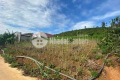 Bán đất sào 1015m2 quy hoạch thổ cư tại mê linh, lâm hà giá 1 tỷ 750