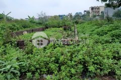 Bán gấp lô đất đấu giá vỉa hè ô tô tránh kinh doanh bắc hồng đông anh dt 75m2 mt5m.