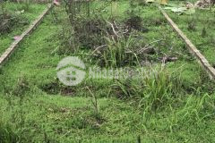 Siêu rẻ bán đất xóm 7 đông đư, 48.3m2, morning đỗ cửa chỉ 1ty9.