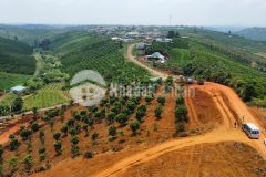 Đón sóng cao tốc, bán đất nền bảo lộc siêu rẻ chỉ hơn 5trm2