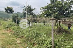 Mộc châu bán mảnh đất s660m2 di chuyển thuận tiện