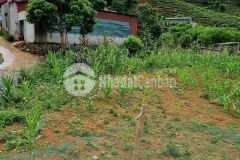 Siêu phẩm đất nền mộc châu giá rẻ, đón sóng cao tốc và sân bay