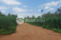 Bán đất hẻm cấp 1 đường vành đai quốc lộ 1426 xã ea tu tp buôn ma thuột giá 1,1 tỷ