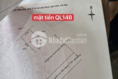 Mặt tiền quốc lộ 14b đại hiệp. 4 lô 5x20m. 1 lô 10x20m. giá cực tốt cho doanh nghiệp