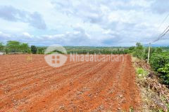 Bán đất sào nghỉ dưỡng 2155m2 có 400m thổ cư tại liên hà lâm hà giá 1 tỷ 850 triệu