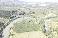 Bán gấp lô đất có dt 9000m2 trong đó có gần 2000m2 thổ cư bám toàn bộ sông bưởi