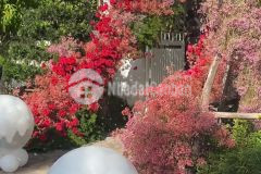 Bán nhà kiệt trưng nữ vương, hải châu, khuôn viên nhà có sân vườn rộng.