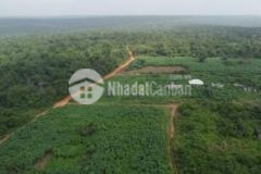 Siêu phẩm view đồi núi chỉ 125ksào