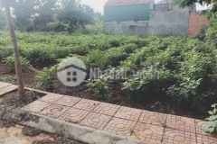 Bán 2 lô đất liền kề khánh xuân khu biệt thự mini thành đồng 304 bmt 1,17 tỷ