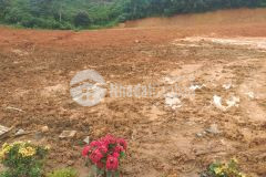 Bảo lâm nơi lý tưởng cho nghỉ dưỡng và đầu tư