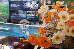 Bồ đề gần hồ ngay phố gần ô tô chỉ 3.5 tỷ quá hiếm khu vực