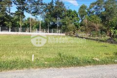 Đất nền đô thị thuộc thị trấn hậu nghĩa long an