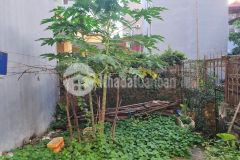 Chính chủ gửi bán đất 3 mặt thoáng, phố thượng thanh, đức giang, long biên, 40m2, mt 6m.