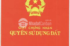 Bán nhà nát đường phan tôn, p. mỹ an, q. ngũ hành sơn, đà nẵng. 115m2 chỉ 10 tỷ