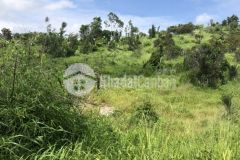 Đất gần kcn tân đức hàm tân bình thuận giá chưa qua đầu tư 70 mẫu 700m giá đẹp nhất