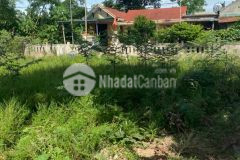 Kiệt tránh vé, triệu phong, qtri