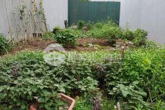 Giá rẻ nhất khu không đâu rẻ bằng nhị khê thường tín