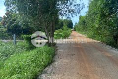 Đất bds tân hà hàm tân mt đường số 4 thổ cư 58x42 2,3 triệum2 tiềm năng phân lô tốt