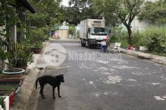 Chủ nợ ngân hàng gấp bán nhà cấp 4 hẻm xe hơi 88m2 trung tâm thủ đức giá chỉ 4,2 tỷ
