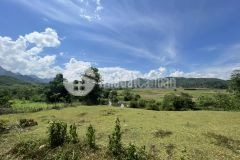 Bán gấp siêu phẩm bám suối dt 6062m2 giá chỉ có 2,x tỷ ở lỗ sơn