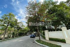 Bán bt song lập kđt vinhomes riverside long biên, view công viên, thang máy, 250m, 68.9 tỷ