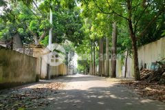 Chủ cân ban gâp manh đât ngu hiệp diên tich 50met đất.